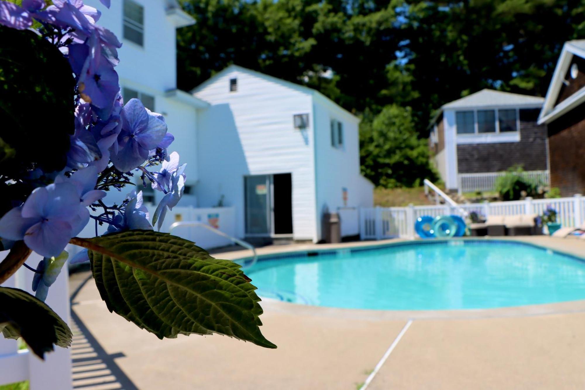 Sea View Motel Ogunquit Exterior foto